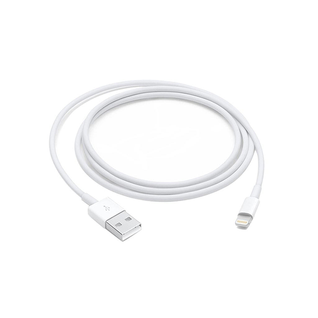 Apple Lightning to USB Cable 1m