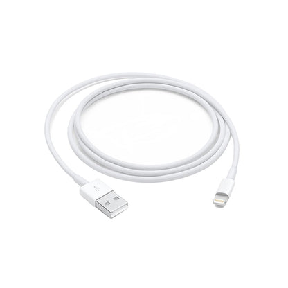 Apple Lightning to USB Cable - 1m