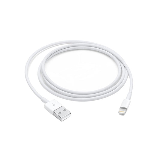 Apple Lightning to USB Cable - 1m